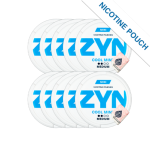 ZYN Cool Mint Medium 10 cans